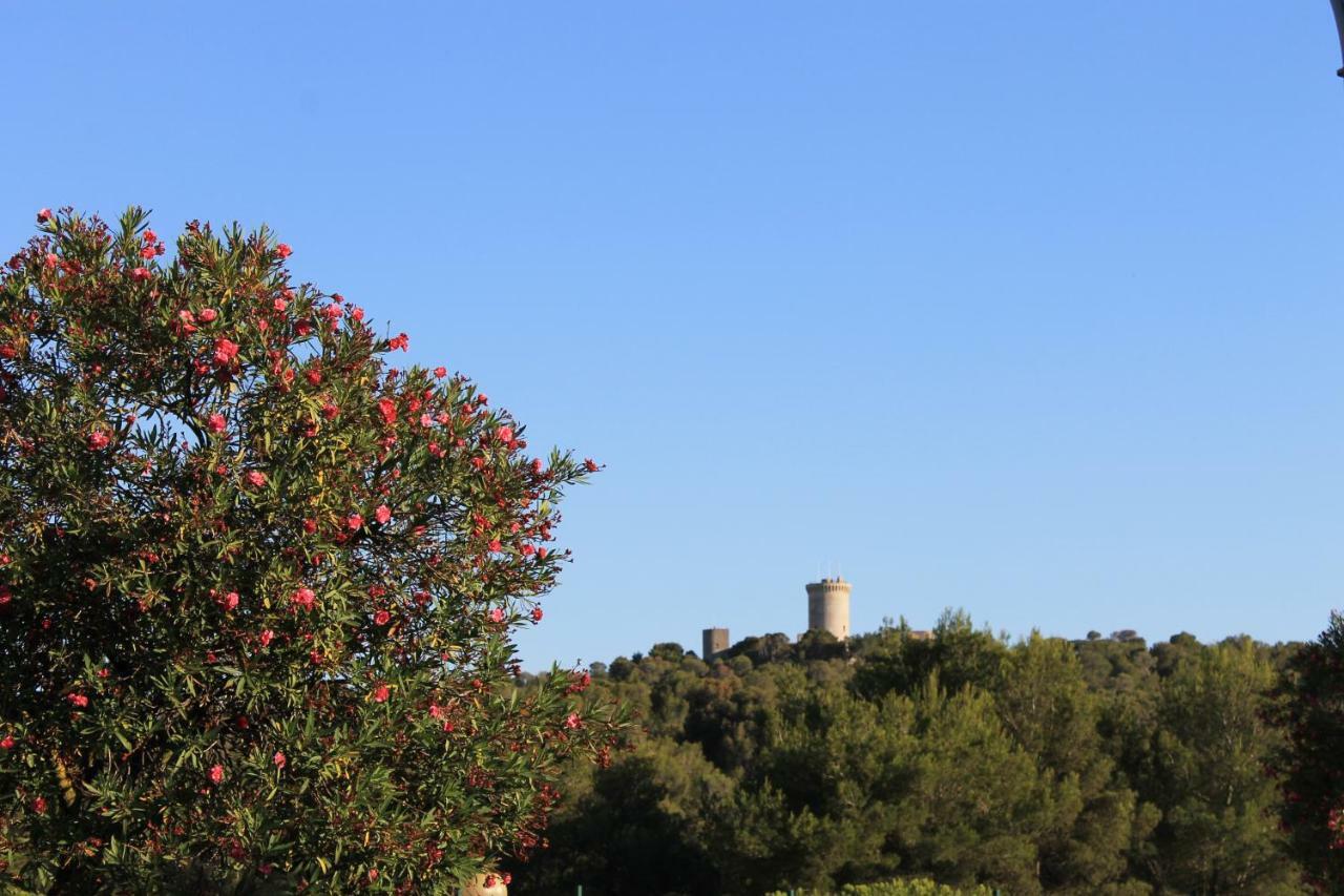 Villa Filipinas ,Centro Ciudad -Etv10310 Palma de Mallorca Luaran gambar